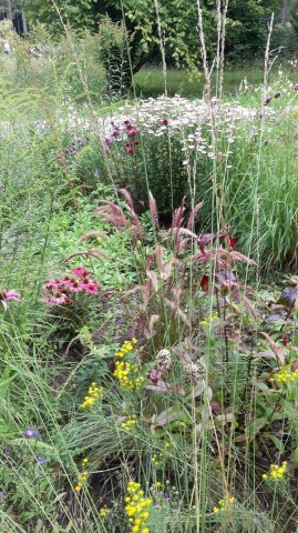 Landesgartenschau 2017